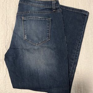 Denim Jeans Size 8 Ankle, Vintage America, Distressed, Stretch